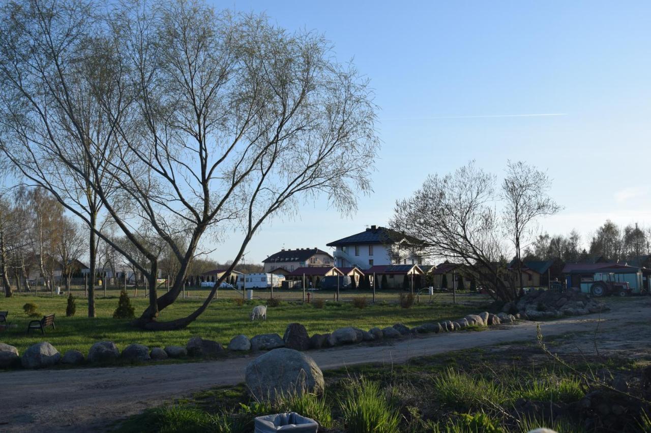 Danka * Gąski